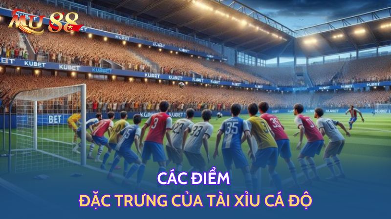 Các điểm đặc trưng của tài xỉu cá độ